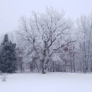 Meet your Posher, Lynn